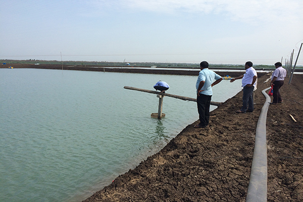 Asokaa Developers project photo 1