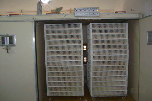 Asokaa Developers project photo 13