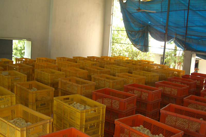 Asokaa Developers project photo 21