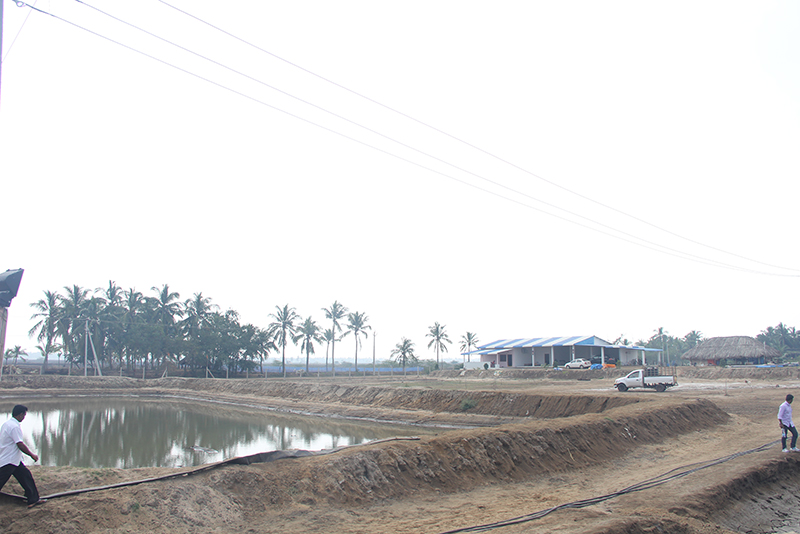 Asokaa Developers project photo 32