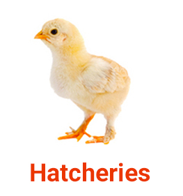 Hatcheries